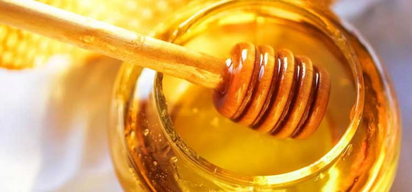 بهترین قیمت عسل گشنیز مرغوب